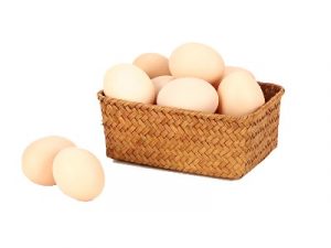 ביצים - המחשה