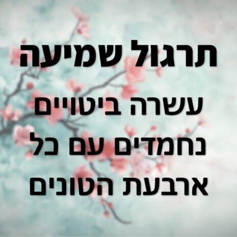 תרגול שמיעה בסינית