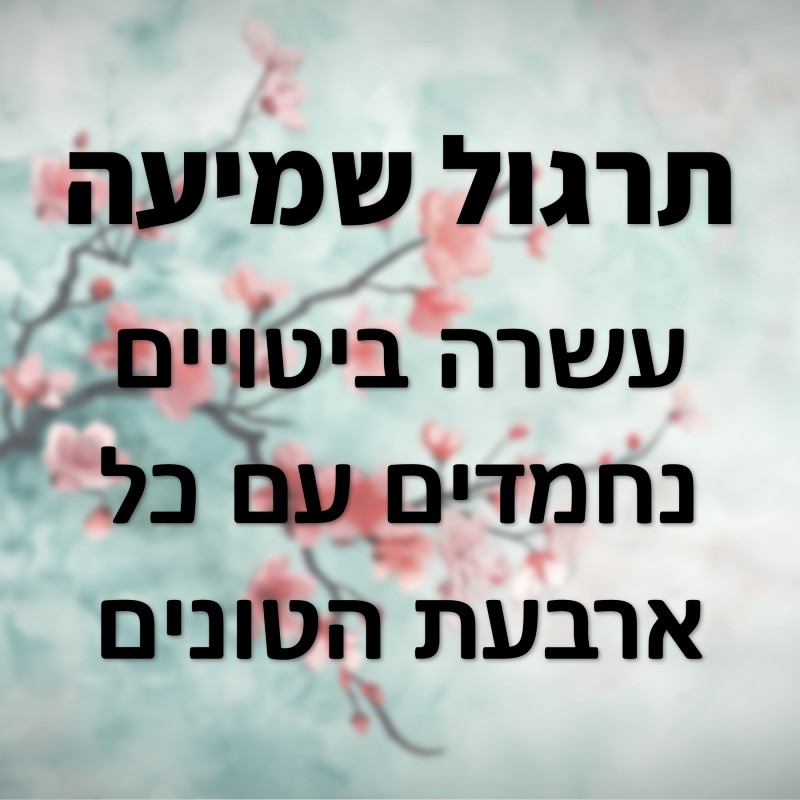 תרגול שמיעה בסינית