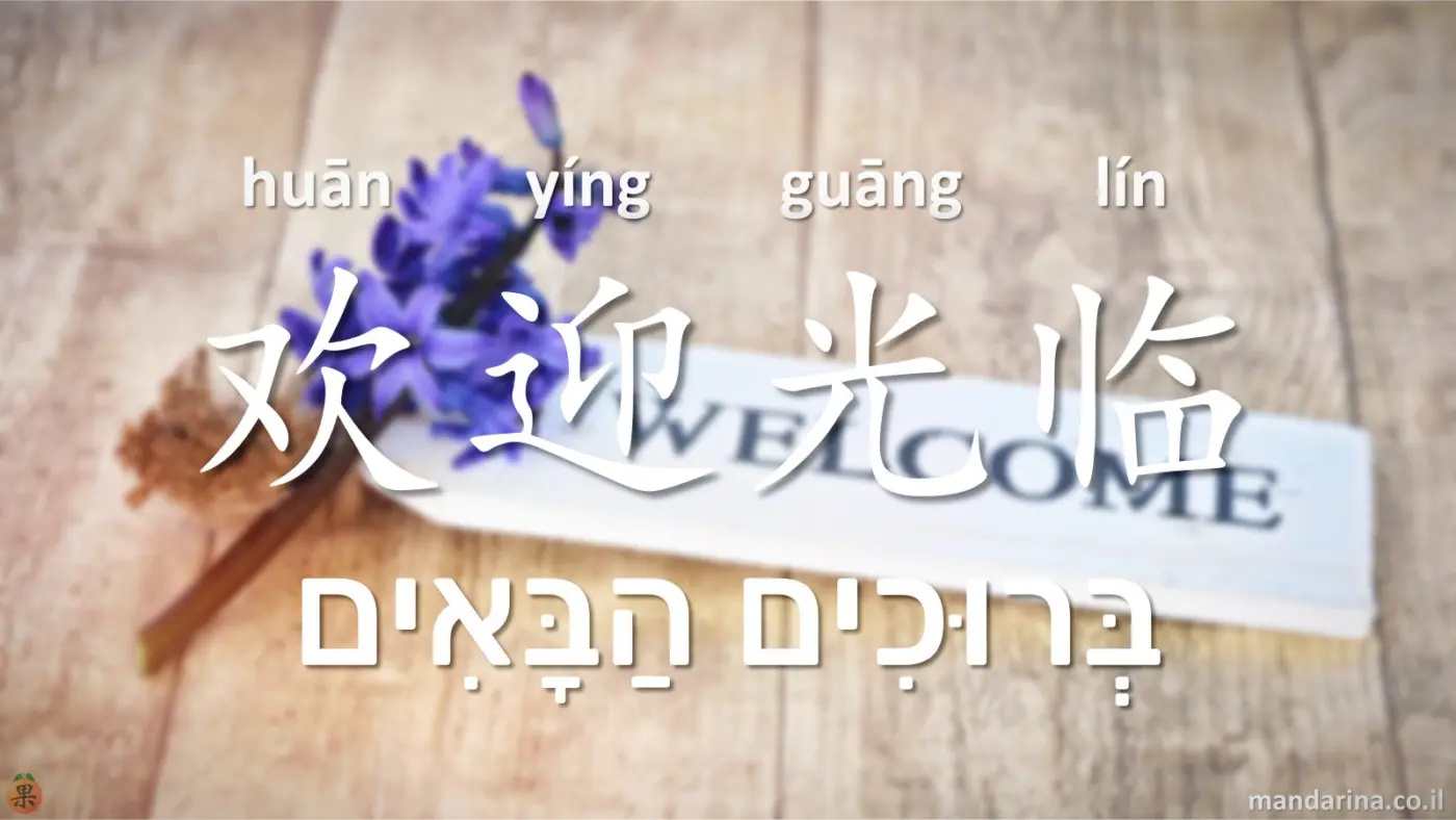 פורטל קהילה - כללים והסברים - חשוב לקרוא לפני שמתחילים!